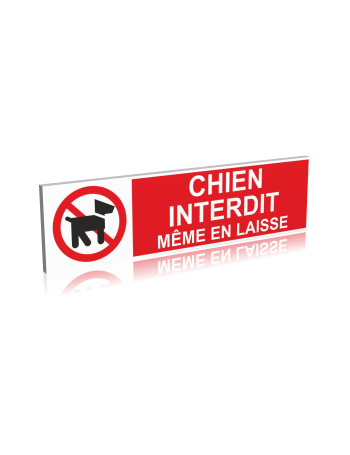 Chien interdit - Même en laisse