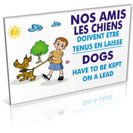 Nos amis les chiens - En laisse