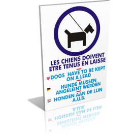 Les chiens en laisse