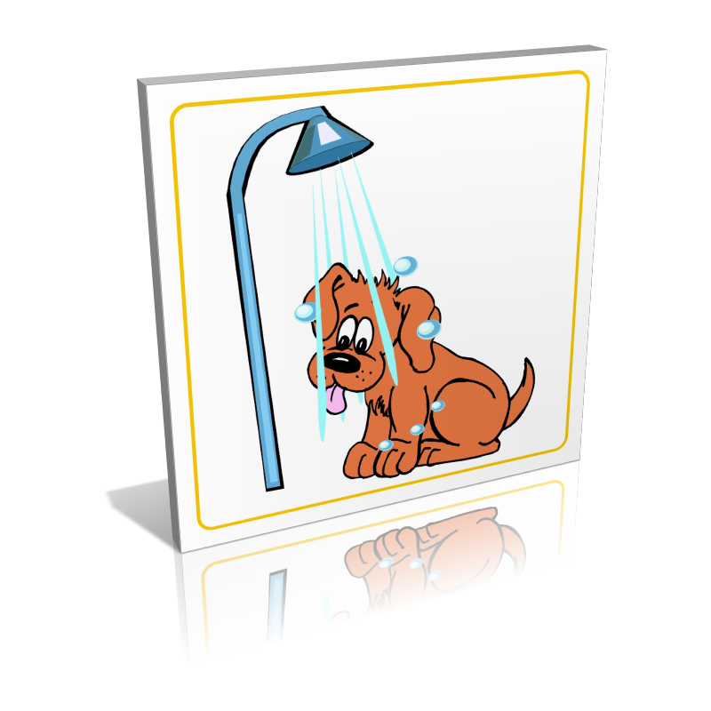 Douche pour chiens Douche pour chiens