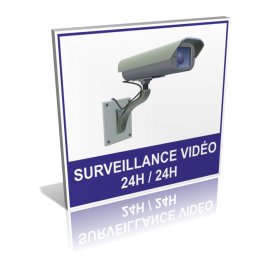 Surveillance vidéo 24H/24H modèle 2