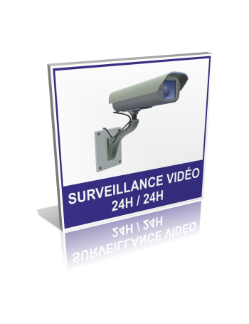 Surveillance vidéo 24H/24H modèle 2