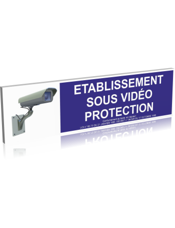 Etablissement sous vidéo protection