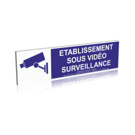 Etablissement sous vidéo surveillance - Bleu