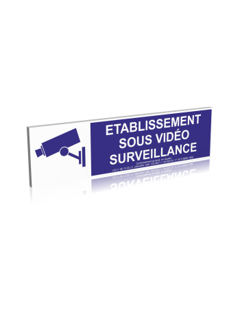 Etablissement sous vidéo surveillance - Bleu