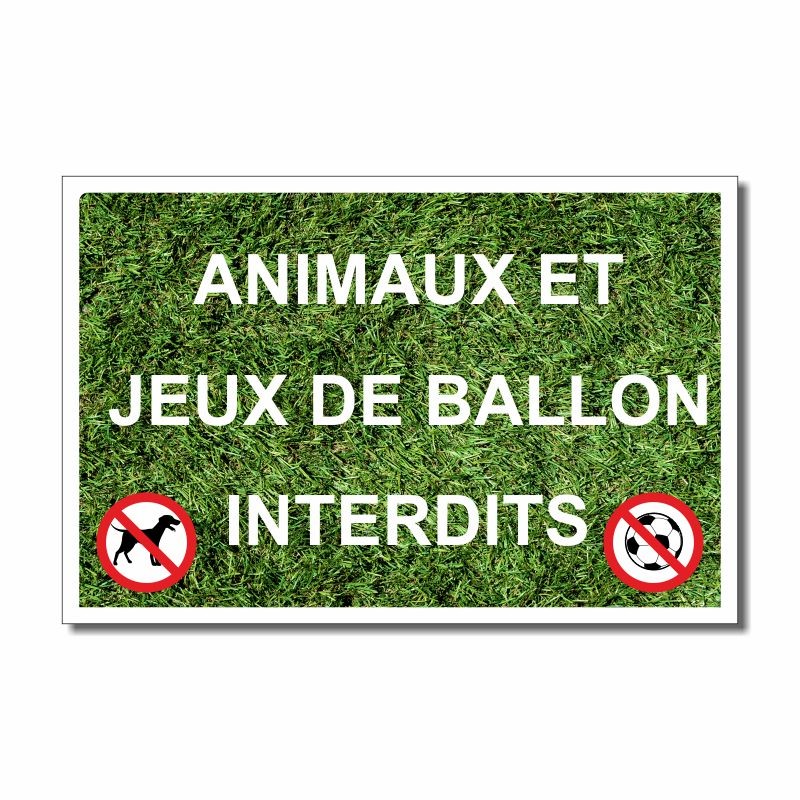 Animaux et Jeux de ballon interdits