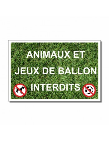 Animaux et Jeux de ballon interdits